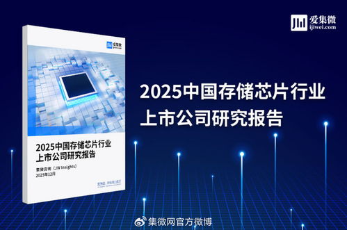 2025中國存儲芯片行業上市公司研究報告 技術演進、市場格局與投資機遇